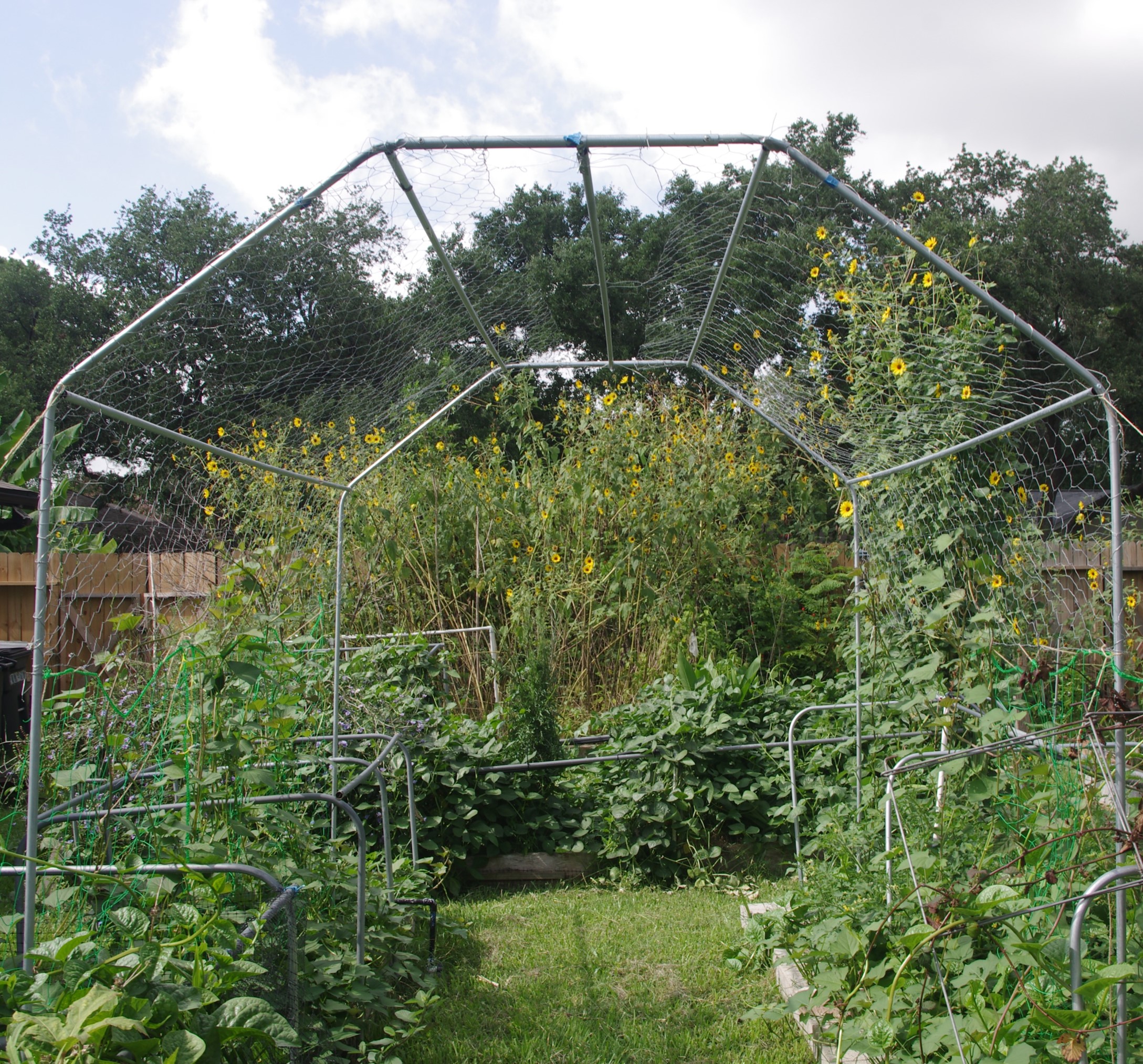 Creating an Archway Trellis